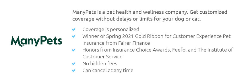 Dog Insurance Wellness Plan 🐶 Mar 2025